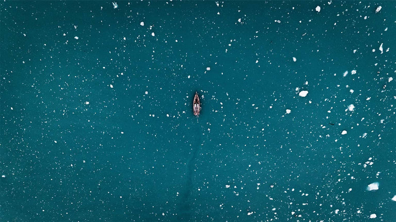 Retracing Shackleton’s tracks in South Georgia