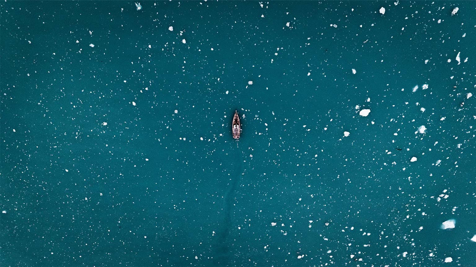 Sur les traces de Shackleton en Géorgie du Sud