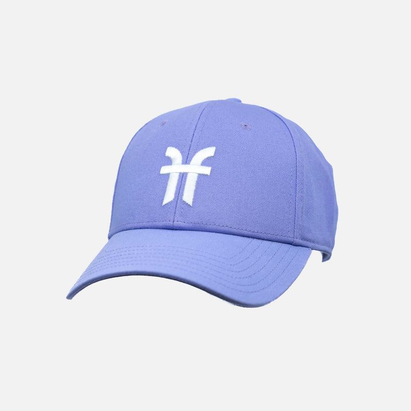 Faction skis purple dad hat front